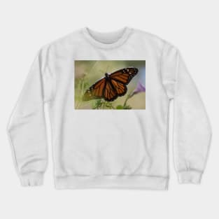 Migration Series III Crewneck Sweatshirt